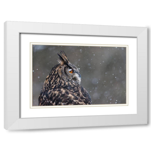 Watchful Owl White Modern Wood Framed Art Print with Double Matting by Mark Spowart Photography