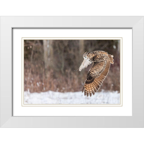 Take Flight White Modern Wood Framed Art Print with Double Matting by Mark Spowart Photography
