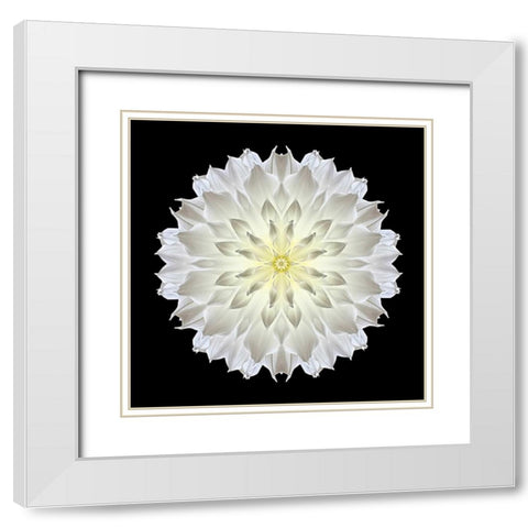 Kaleidoscope Dahlia Black White Modern Wood Framed Art Print with Double Matting by Bookbinder, David