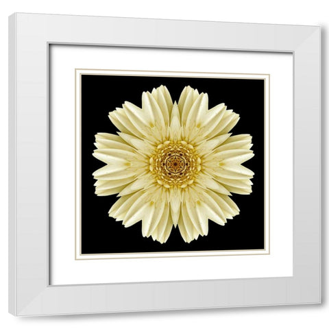 Kaleidoscope Daisy Black White Modern Wood Framed Art Print with Double Matting by Bookbinder, David
