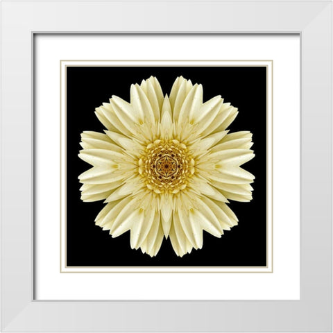Kaleidoscope Daisy Black White Modern Wood Framed Art Print with Double Matting by Bookbinder, David