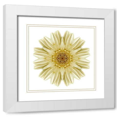 Kaleidoscope Daisy White Modern Wood Framed Art Print with Double Matting by Bookbinder, David