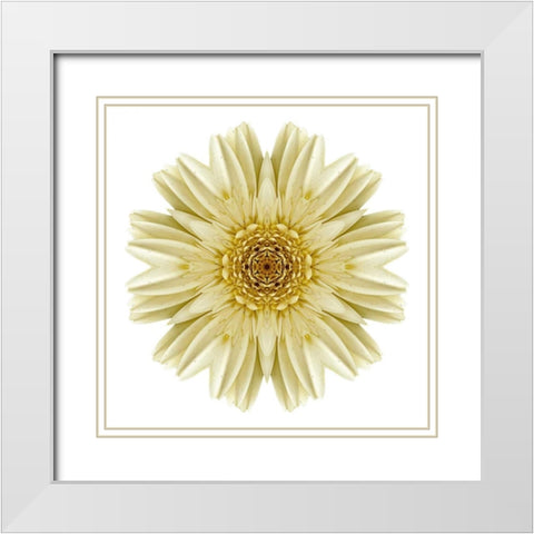 Kaleidoscope Daisy White Modern Wood Framed Art Print with Double Matting by Bookbinder, David