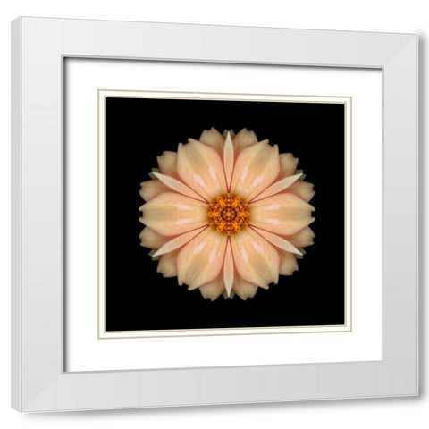 Kaleidoscope Peach Dahlia White Modern Wood Framed Art Print with Double Matting by Bookbinder, David