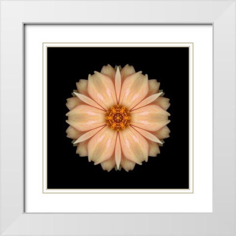 Kaleidoscope Peach Dahlia White Modern Wood Framed Art Print with Double Matting by Bookbinder, David