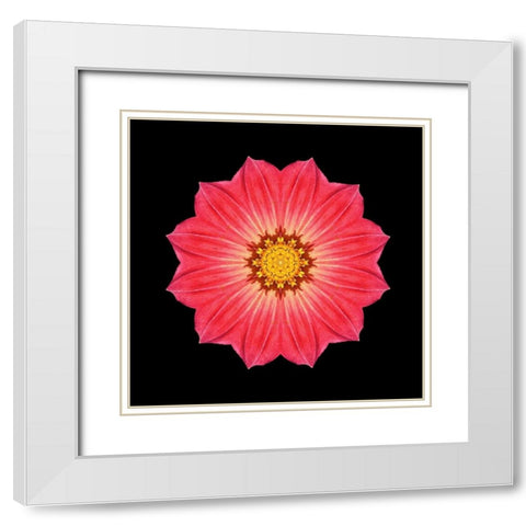 Kaleidoscope Red Daisy White Modern Wood Framed Art Print with Double Matting by Bookbinder, David
