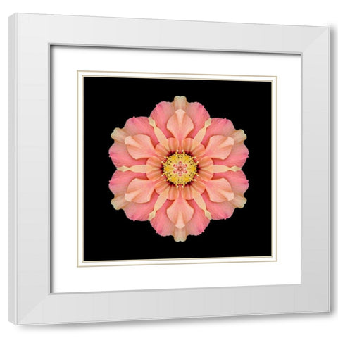 Kaleidoscope Hibiscus White Modern Wood Framed Art Print with Double Matting by Bookbinder, David