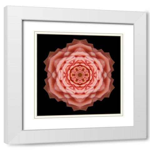 Kaleidoscope Rose White Modern Wood Framed Art Print with Double Matting by Bookbinder, David