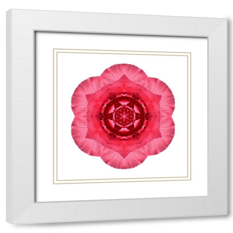 Kaleidoscope Begonia White Modern Wood Framed Art Print with Double Matting by Bookbinder, David