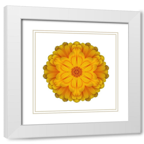 Kaleidoscope Marigold White Modern Wood Framed Art Print with Double Matting by Bookbinder, David