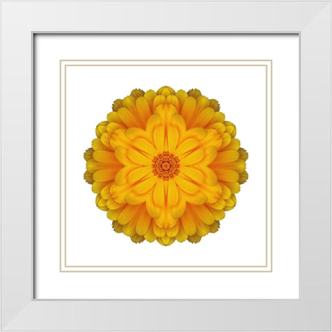Kaleidoscope Marigold White Modern Wood Framed Art Print with Double Matting by Bookbinder, David