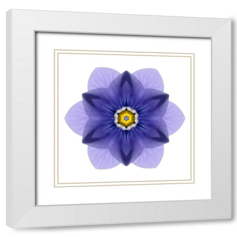 Kaleidoscope Blue Bell White Modern Wood Framed Art Print with Double Matting by Bookbinder, David