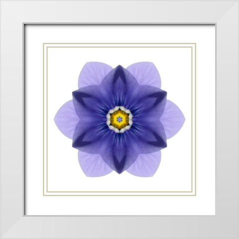 Kaleidoscope Blue Bell White Modern Wood Framed Art Print with Double Matting by Bookbinder, David