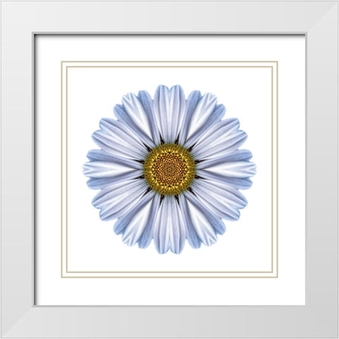 Kaleidoscope White Daisy White Modern Wood Framed Art Print with Double Matting by Bookbinder, David