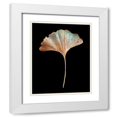 Rustic Leaf 1 White Modern Wood Framed Art Print with Double Matting by Bookbinder, David