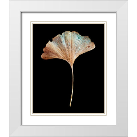 Rustic Leaf 1 White Modern Wood Framed Art Print with Double Matting by Bookbinder, David