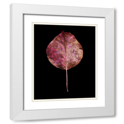 Rustic Leaf 2 White Modern Wood Framed Art Print with Double Matting by Bookbinder, David