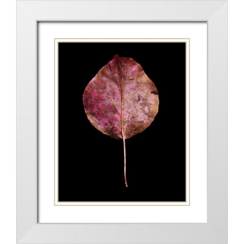 Rustic Leaf 2 White Modern Wood Framed Art Print with Double Matting by Bookbinder, David