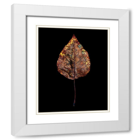 Rustic Leaf 4 White Modern Wood Framed Art Print with Double Matting by Bookbinder, David