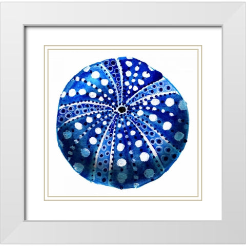 Tidal Pool Urchin White Modern Wood Framed Art Print with Double Matting by Smith, Crystal