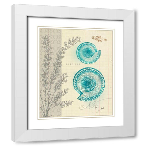 Sea Life 4 White Modern Wood Framed Art Print with Double Matting by Z Studio