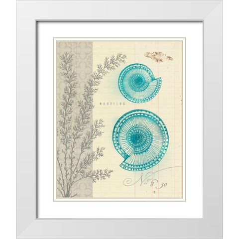 Sea Life 4 White Modern Wood Framed Art Print with Double Matting by Z Studio