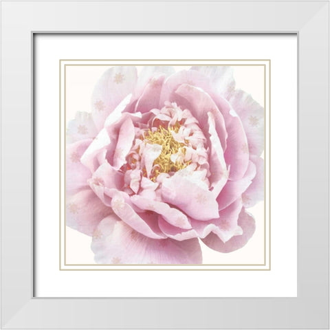 Whisper Floral White Modern Wood Framed Art Print with Double Matting by Dos Santos, Bella