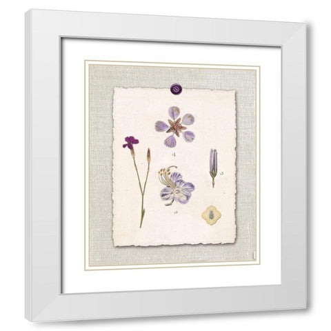 Paris Flea Market Petals White Modern Wood Framed Art Print with Double Matting by Ross, Devon