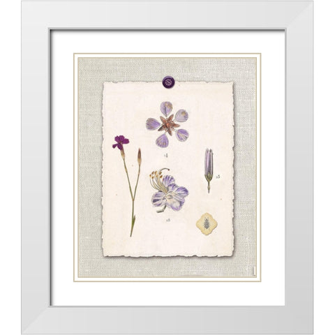 Paris Flea Market Petals White Modern Wood Framed Art Print with Double Matting by Ross, Devon