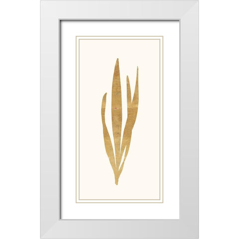 Gold Botanical 1 White Modern Wood Framed Art Print with Double Matting by Ross, Devon