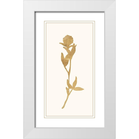 Gold Botanical 6 White Modern Wood Framed Art Print with Double Matting by Ross, Devon