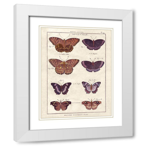 Histoire Naturelle 1 White Modern Wood Framed Art Print with Double Matting by Wesley, Terrence