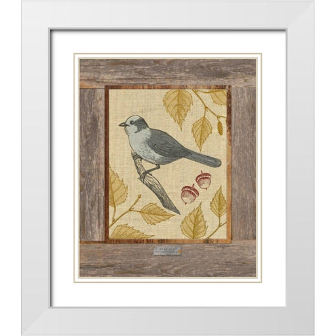 Gray Jay White Modern Wood Framed Art Print with Double Matting by Appleman, Sam