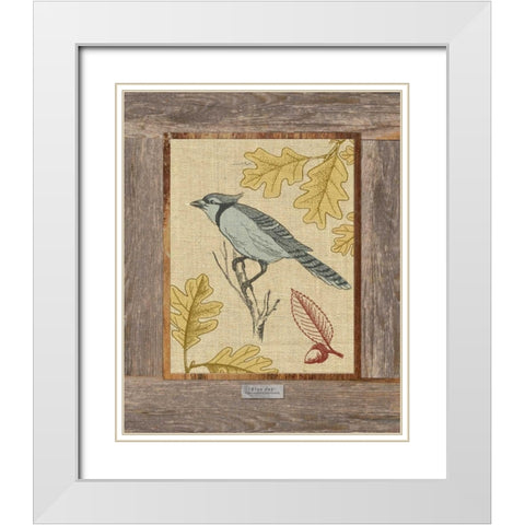 Blue Jay White Modern Wood Framed Art Print with Double Matting by Appleman, Sam