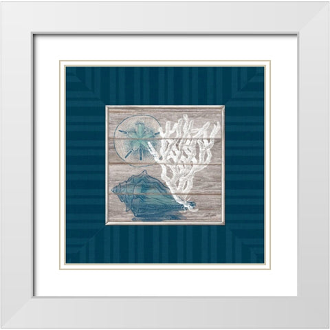 Coastal Wonders White Modern Wood Framed Art Print with Double Matting by Appleman, Sam