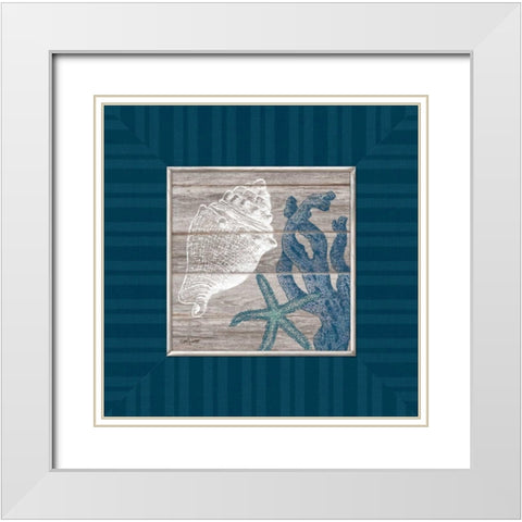 Coastal Treasures White Modern Wood Framed Art Print with Double Matting by Appleman, Sam