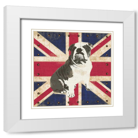 British Bulldog White Modern Wood Framed Art Print with Double Matting by Appleman, Sam