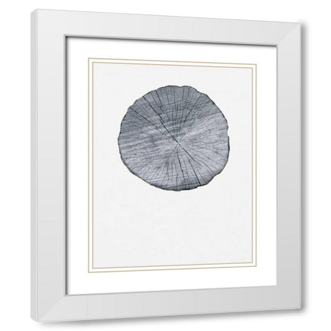 Old Growth Ring Print White Modern Wood Framed Art Print with Double Matting by Appleman, Sam