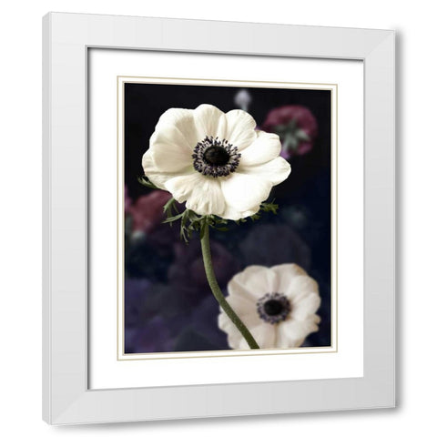 Renaissance White Modern Wood Framed Art Print with Double Matting by Duprais, Cameron