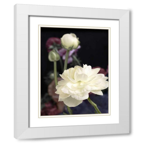 Midsummer White Modern Wood Framed Art Print with Double Matting by Duprais, Cameron