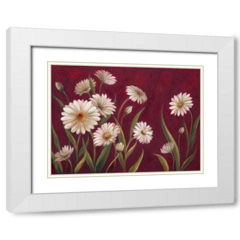Harmony Daisies  White Modern Wood Framed Art Print with Double Matting by Art Atelier Alliance