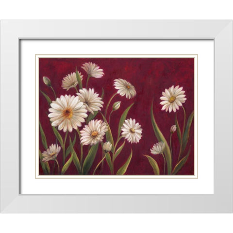 Harmony Daisies  White Modern Wood Framed Art Print with Double Matting by Art Atelier Alliance
