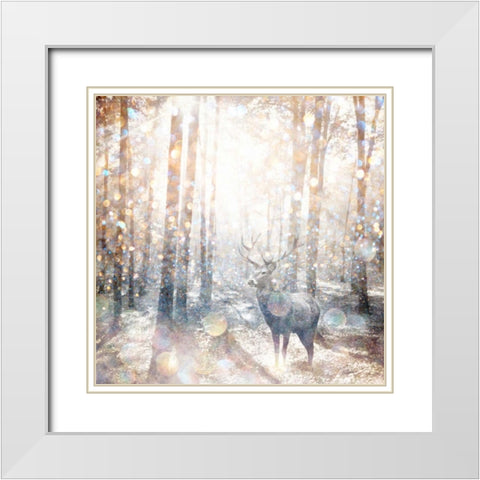 Mystical Forest 2 White Modern Wood Framed Art Print with Double Matting by Jakobs, Beau