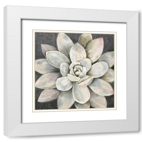 Silver Succulent White Modern Wood Framed Art Print with Double Matting by Jing, Jin