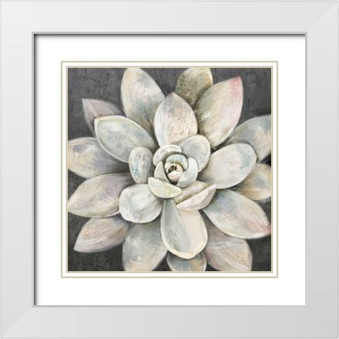 Silver Succulent White Modern Wood Framed Art Print with Double Matting by Jing, Jin