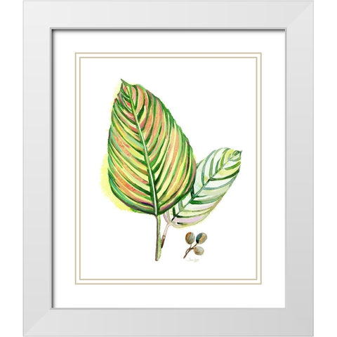 Tropical Foliage White Modern Wood Framed Art Print with Double Matting by Jing, Jin