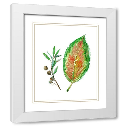 Tropical Botanical White Modern Wood Framed Art Print with Double Matting by Jing, Jin