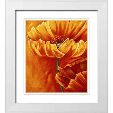 Poppies in bloom I White Modern Wood Framed Art Print with Double Matting by Frederiks, Beatrix