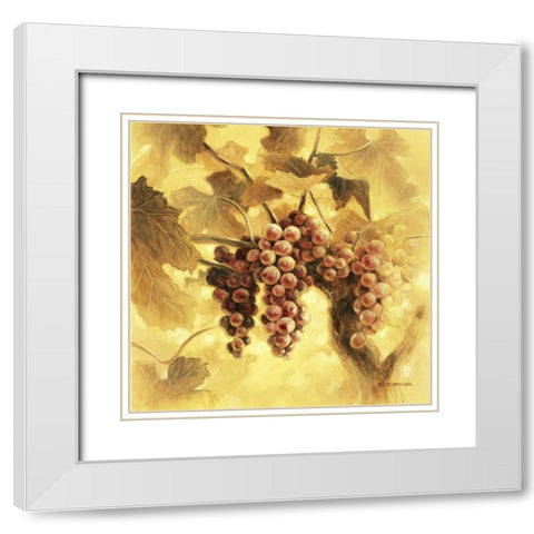 GrapesI White Modern Wood Framed Art Print with Double Matting by Denis, E