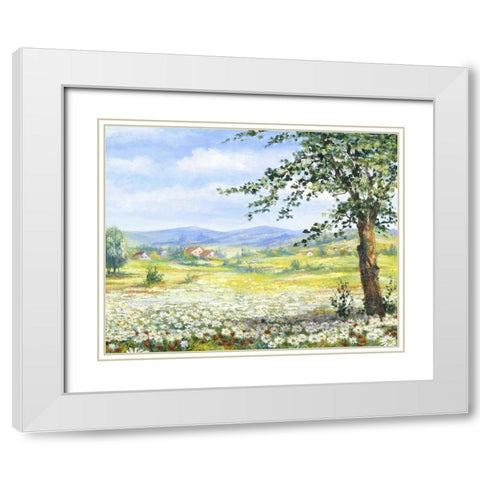 Marguerites field White Modern Wood Framed Art Print with Double Matting by Withaar, Rian